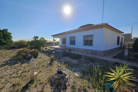 Finca à vendre à Guardamar del Segura, Alicante, Espagne, 3 chambres, 137 m2 No. 139307 - photo 1