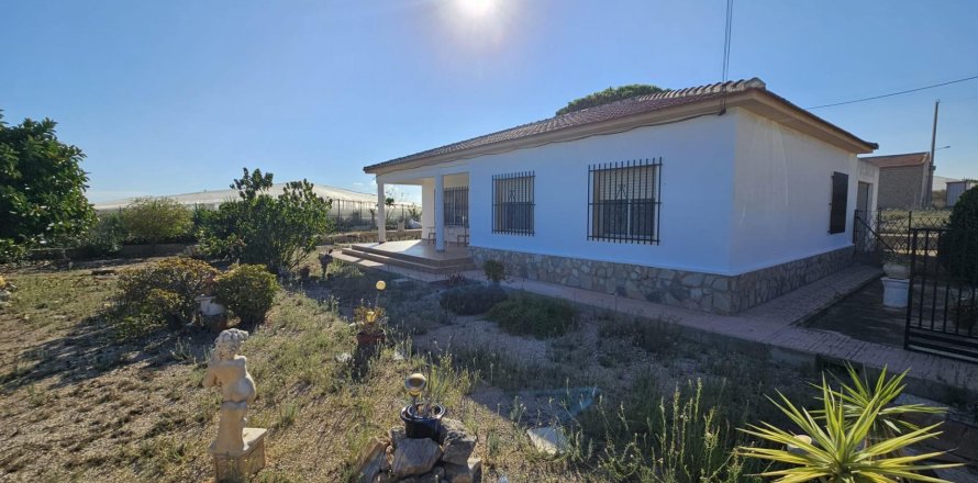 Finca à Guardamar del Segura, Alicante, Espagne 3 chambres, 137 m2 No. 139307