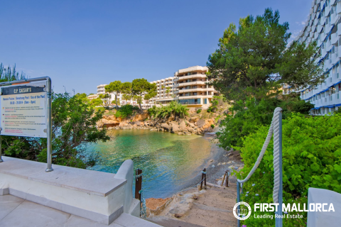 Apartamento en alquiler en Santa Ponsa, Mallorca, España 1 dormitorio, 46 m2 No. 173820 - foto 16