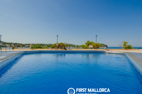 Apartamento en alquiler en Santa Ponsa, Mallorca, España 1 dormitorio, 46 m2 No. 173820 - foto 12