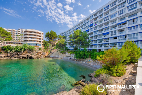 Apartamento en alquiler en Santa Ponsa, Mallorca, España 1 dormitorio, 46 m2 No. 173820 - foto 17