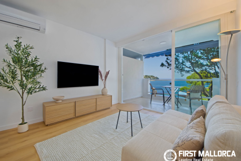 Apartamento en alquiler en Santa Ponsa, Mallorca, España 1 dormitorio, 46 m2 No. 173820 - foto 5
