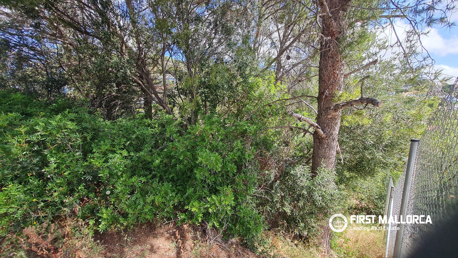 Land plot in Mallorca, Spain 812 sq.m. No. 173815