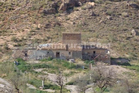 Дом в Лукар, Альмерия, Испания 150м2 №184109