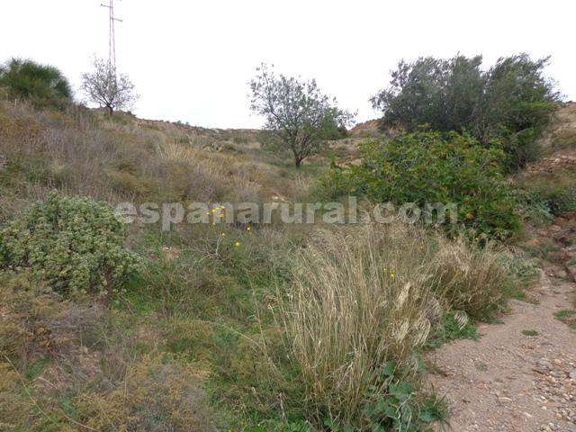 Casa a Albox, Almeria, Spagna N° 184111