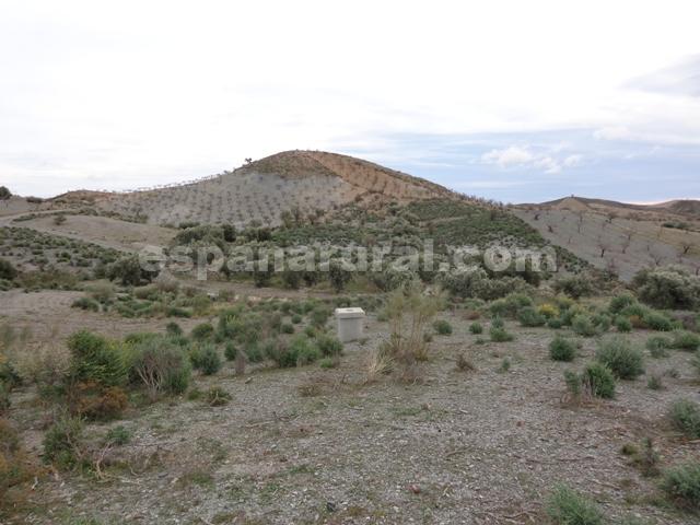 Casa a Albox, Almeria, Spagna N° 184111