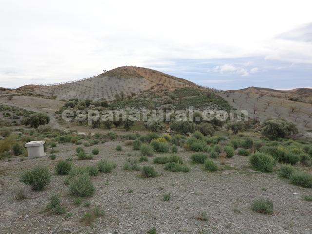 Casa a Albox, Almeria, Spagna N° 184111