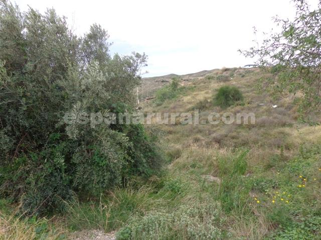 Casa a Albox, Almeria, Spagna N° 184111