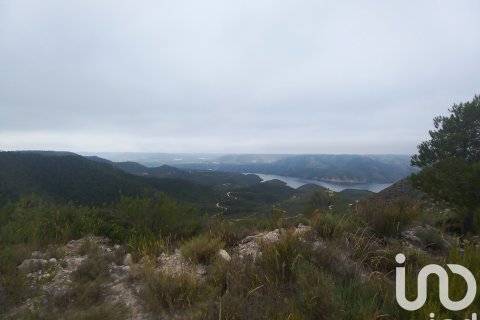 Māja pārdošanā Mequinenza, Zaragoza, Spānijā 3 istabas, 233 m2 Nr. 153376 - attēls 27