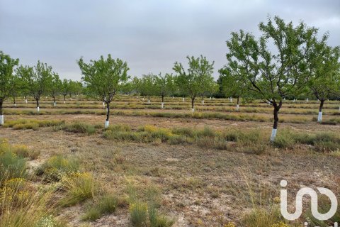 Māja pārdošanā Mequinenza, Zaragoza, Spānijā 3 istabas, 233 m2 Nr. 153376 - attēls 12