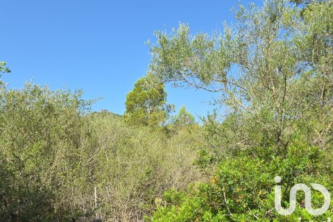 Terreno in vendita a Portocolom, Mallorca, Spagna 53503 mq. N° 153377 - foto 12