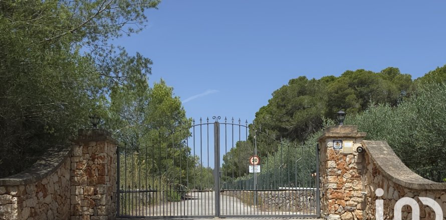 Terreno a Portocolom, Mallorca, Spagna 53503 mq. N° 153377