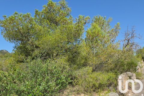 Terreno in vendita a Portocolom, Mallorca, Spagna 53503 mq. N° 153377 - foto 7