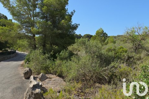 Terreno in vendita a Portocolom, Mallorca, Spagna 53503 mq. N° 153377 - foto 16