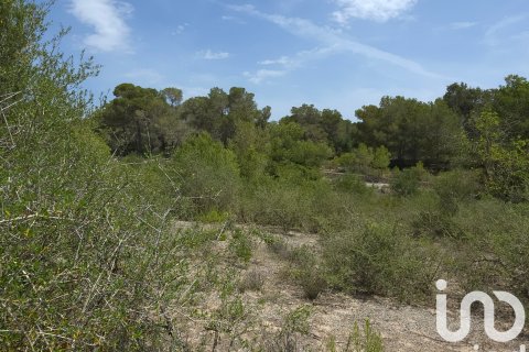 Terreno in vendita a Portocolom, Mallorca, Spagna 53503 mq. N° 153377 - foto 10