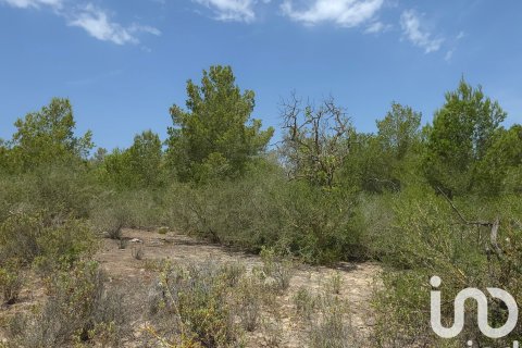 Terreno in vendita a Portocolom, Mallorca, Spagna 53503 mq. N° 153377 - foto 11