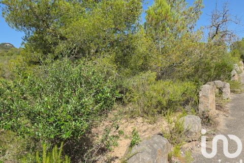 Terreno in vendita a Portocolom, Mallorca, Spagna 53503 mq. N° 153377 - foto 6