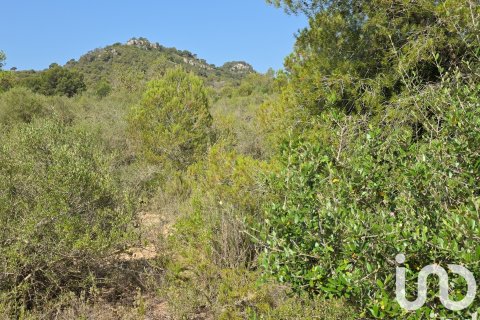 Terreno in vendita a Portocolom, Mallorca, Spagna 53503 mq. N° 153377 - foto 9
