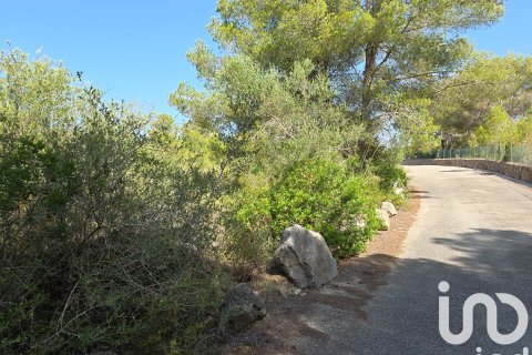 Terreno in vendita a Portocolom, Mallorca, Spagna 53503 mq. N° 153377 - foto 5