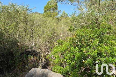 Terreno in vendita a Portocolom, Mallorca, Spagna 53503 mq. N° 153377 - foto 8