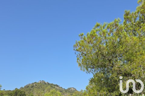 Terreno in vendita a Portocolom, Mallorca, Spagna 53503 mq. N° 153377 - foto 14