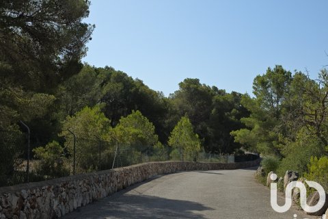 Terreno in vendita a Portocolom, Mallorca, Spagna 53503 mq. N° 153377 - foto 17