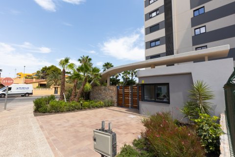 Apartment à vendre à Punta Prima, Alicante, Espagne, 2 chambres, 61 m2 No. 195474 - photo 20
