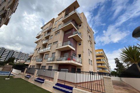 Apartament Torrevieja, Alicante, Hiszpania 2 sypialnie, 55 mkw. nr 138661 – zdjęcie 5