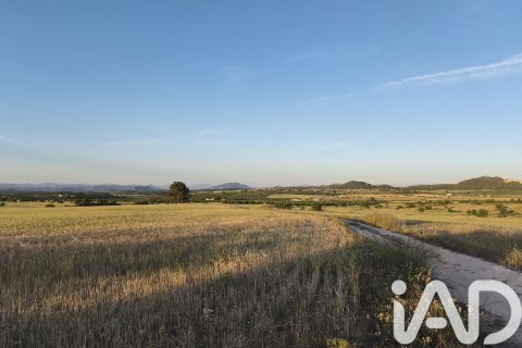 Commercial property for sale in Moratalla, Murcia, Spain No. 172165 - photo 24