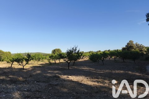 Commercial property for sale in Moratalla, Murcia, Spain No. 172165 - photo 2