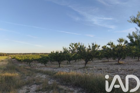 Commercial property for sale in Moratalla, Murcia, Spain No. 172165 - photo 21