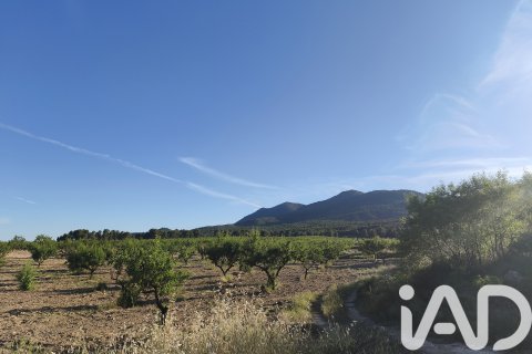 Commercial property for sale in Moratalla, Murcia, Spain No. 172165 - photo 7