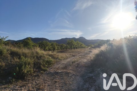 Commercial property for sale in Moratalla, Murcia, Spain No. 172165 - photo 11