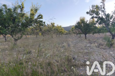 Commercial property for sale in Moratalla, Murcia, Spain No. 172165 - photo 20