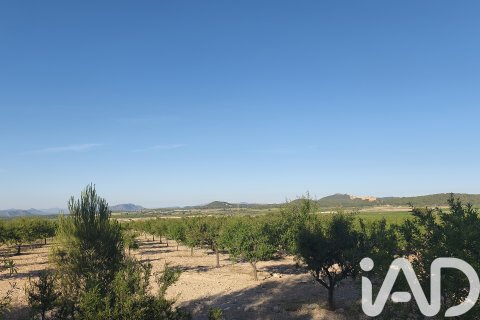 Commercial property for sale in Moratalla, Murcia, Spain No. 172165 - photo 9