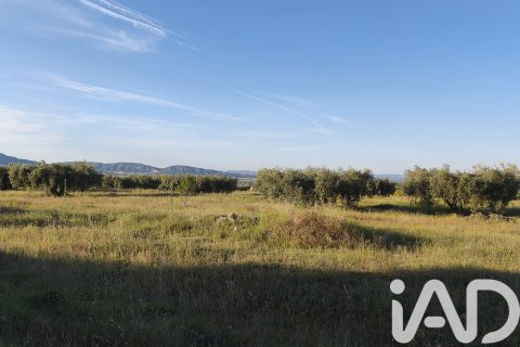 Commercial property for sale in Moratalla, Murcia, Spain No. 172165 - photo 12