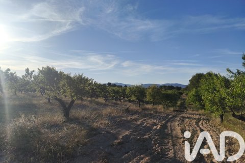 Commercial property for sale in Moratalla, Murcia, Spain No. 172165 - photo 5