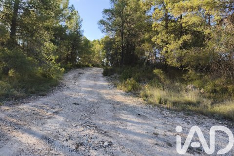 Commercial property for sale in Moratalla, Murcia, Spain No. 172165 - photo 29