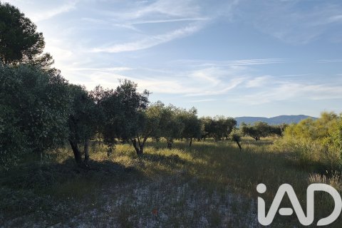 Commercial property for sale in Moratalla, Murcia, Spain No. 172165 - photo 13