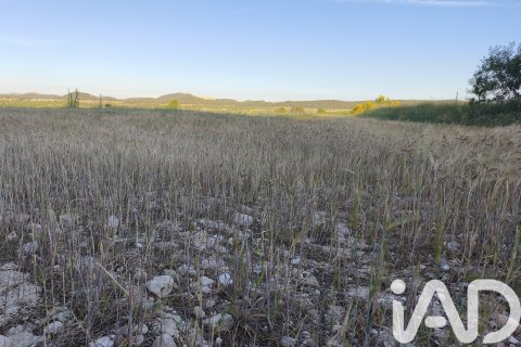 Commercial property for sale in Moratalla, Murcia, Spain No. 172165 - photo 15