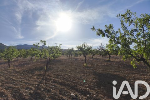 Commercial property for sale in Moratalla, Murcia, Spain No. 172165 - photo 26