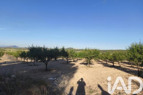 Commercial property for sale in Moratalla, Murcia, Spain No. 172165 - photo 4