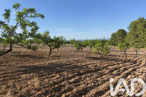 Commercial property for sale in Moratalla, Murcia, Spain No. 172165 - photo 28
