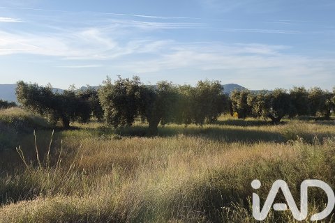 Commercial property for sale in Moratalla, Murcia, Spain No. 172165 - photo 16