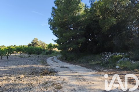 Commercial property for sale in Moratalla, Murcia, Spain No. 172165 - photo 30