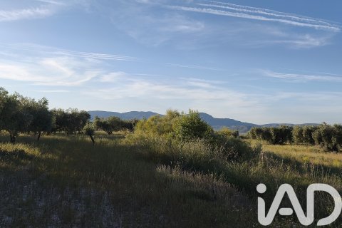 Commercial property for sale in Moratalla, Murcia, Spain No. 172165 - photo 14
