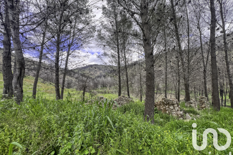 Land plot for sale in Tarbena, Alicante, Spain 41000 sq.m. No. 185948 - photo 20