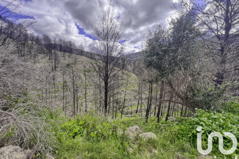 Land plot for sale in Tarbena, Alicante, Spain 41000 sq.m. No. 185948 - photo 29