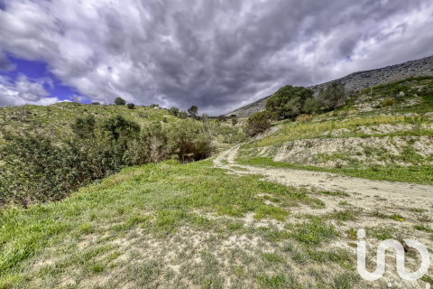 Land plot for sale in Tarbena, Alicante, Spain 41000 sq.m. No. 185948 - photo 12