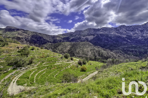 Land plot for sale in Tarbena, Alicante, Spain 41000 sq.m. No. 185948 - photo 4